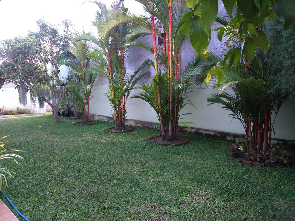 Illumination Stay Negombo Extérieur photo